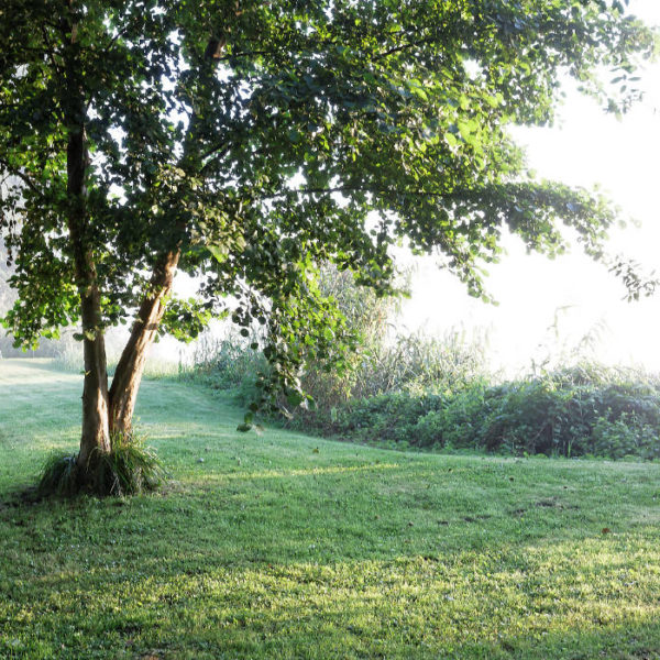 Allerzeit - Ferienhaus an der Aller. Naturnah. Gemütlich. Nachhaltig