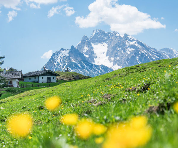 Hoch hinaus zu den schönsten Aussichten