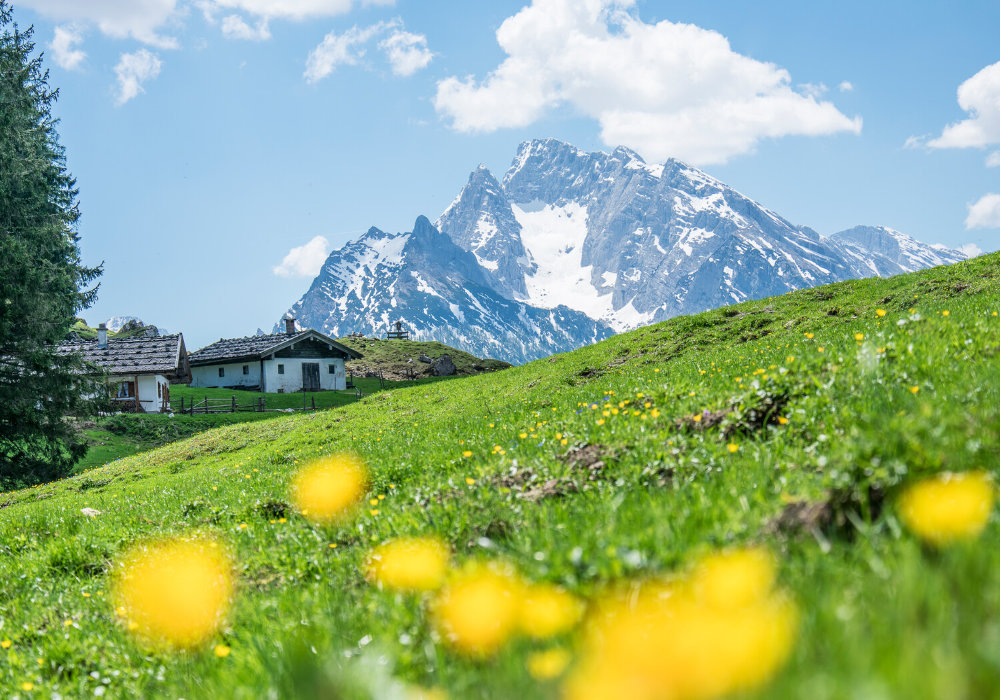 Hoch hinaus zu den schönsten Aussichten